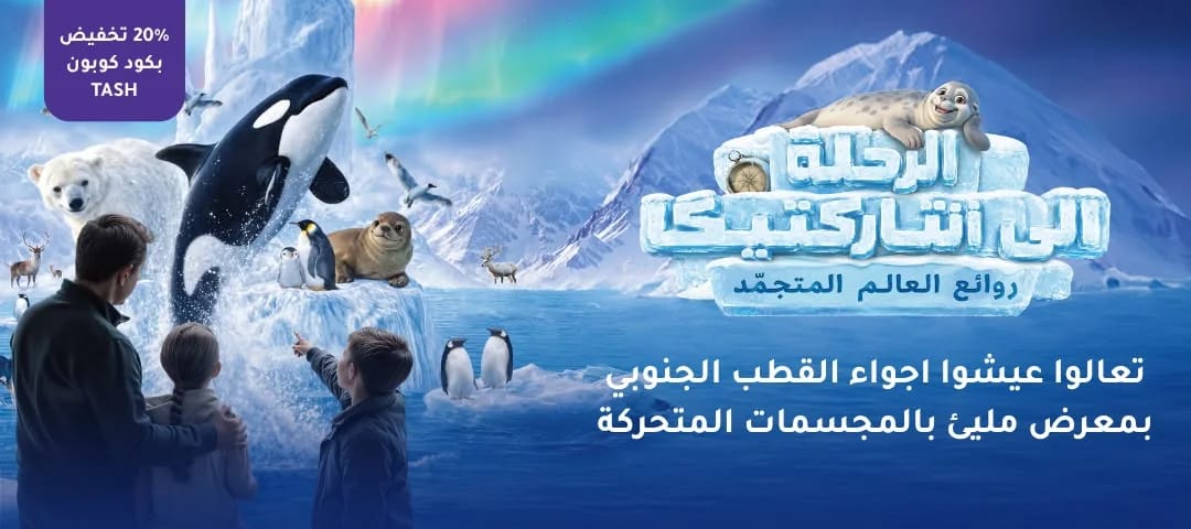 انتراكتيكا