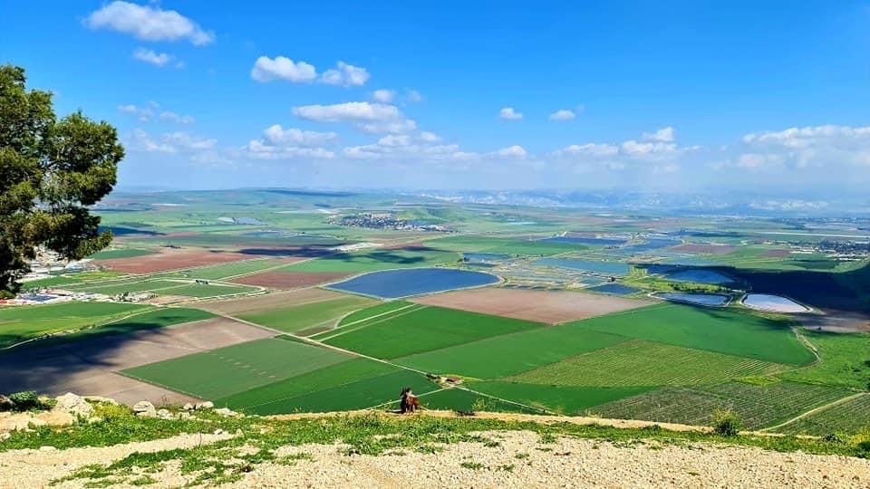 صورة جبل القليلة