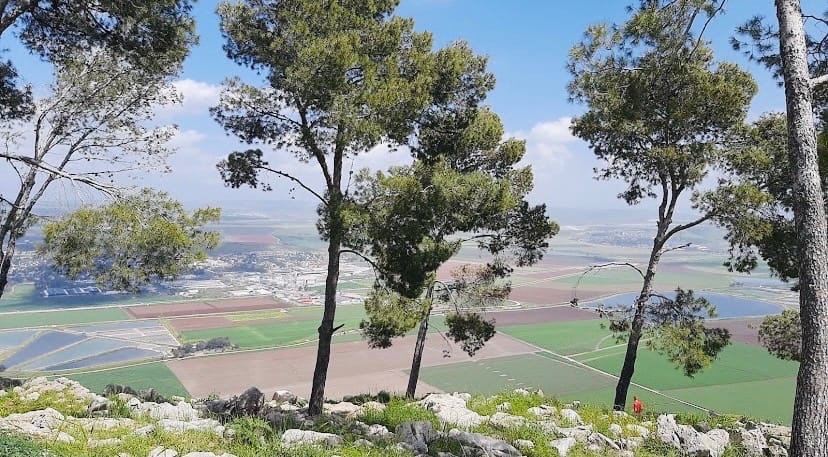 صورة جبل القليلة 1