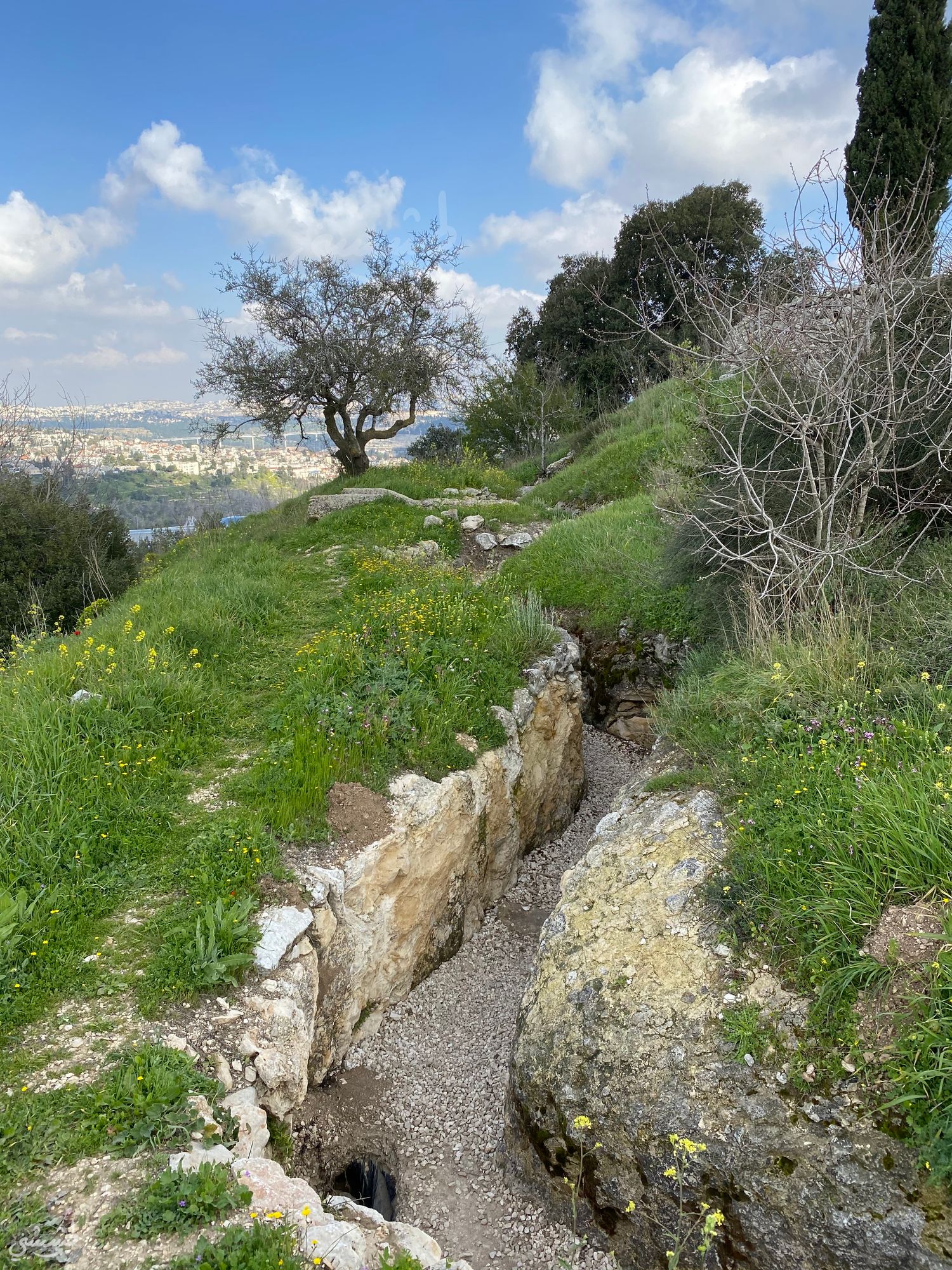 صورة القسطل 1