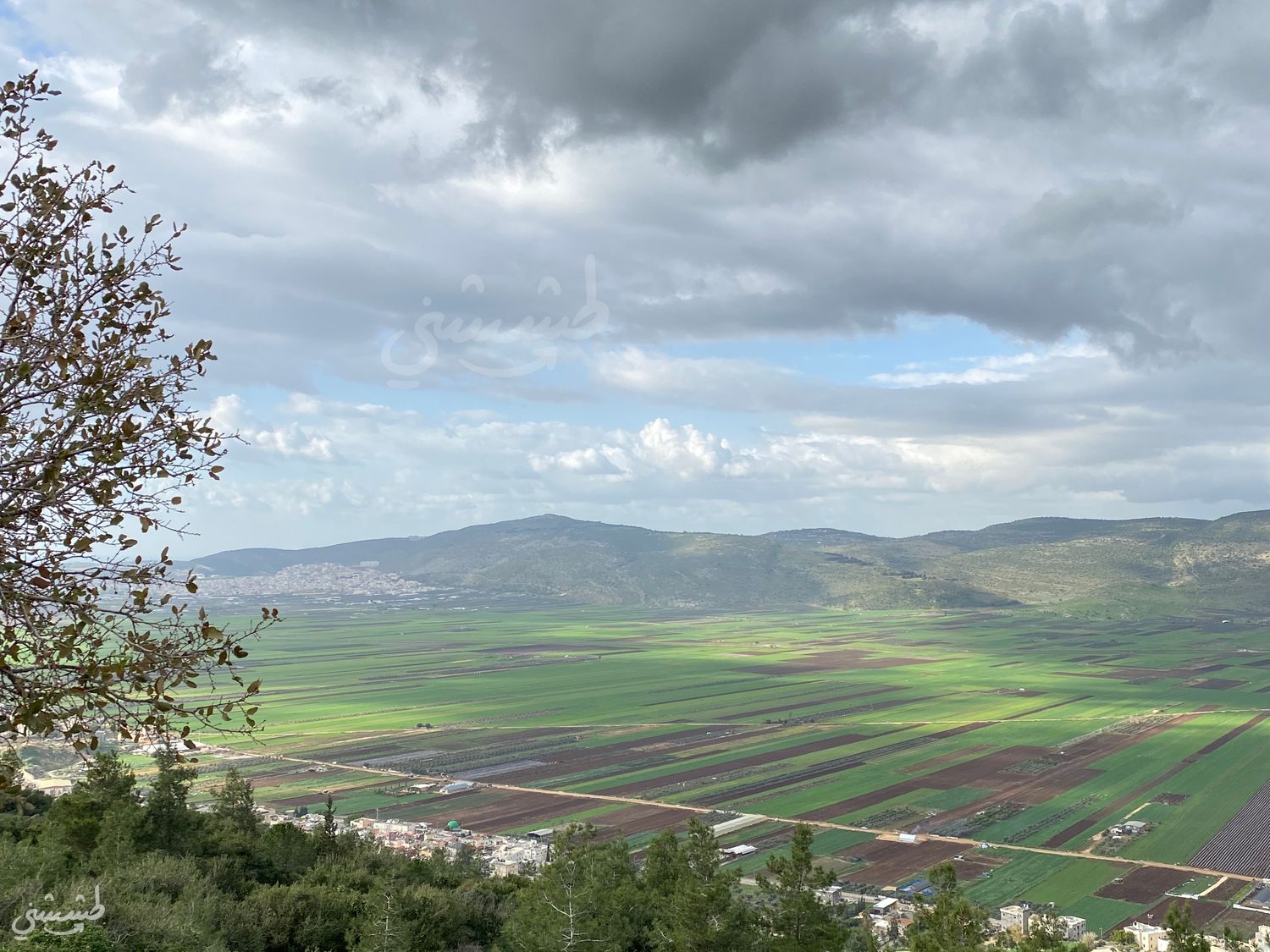 صورة مطل جبل طرعان على سهل البطوف