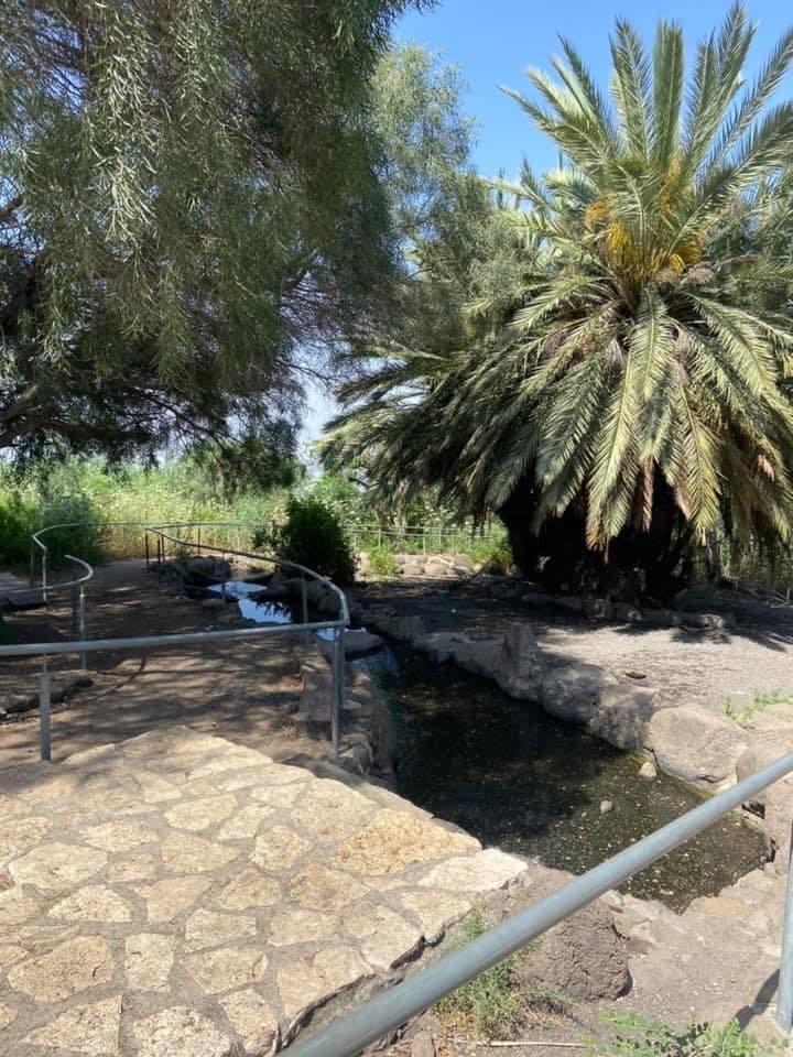 صورة متنزه عين توفيق 2