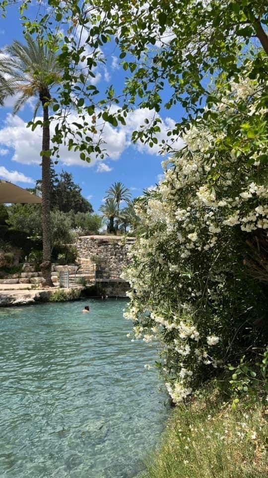 صورة متنزه الساخنة 1