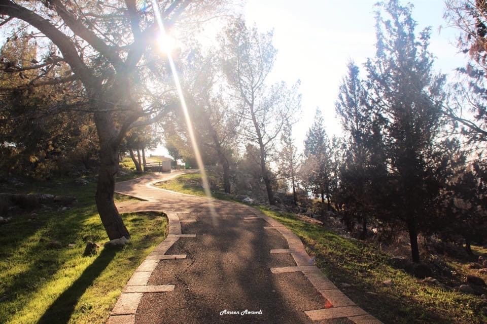 صورة مطل جبل القفزة 2