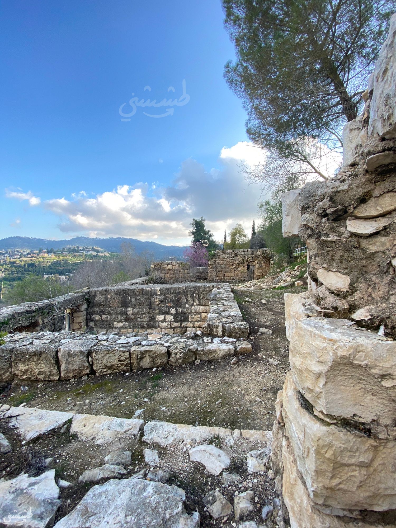 صورة قرية سطاف المهجرة 3
