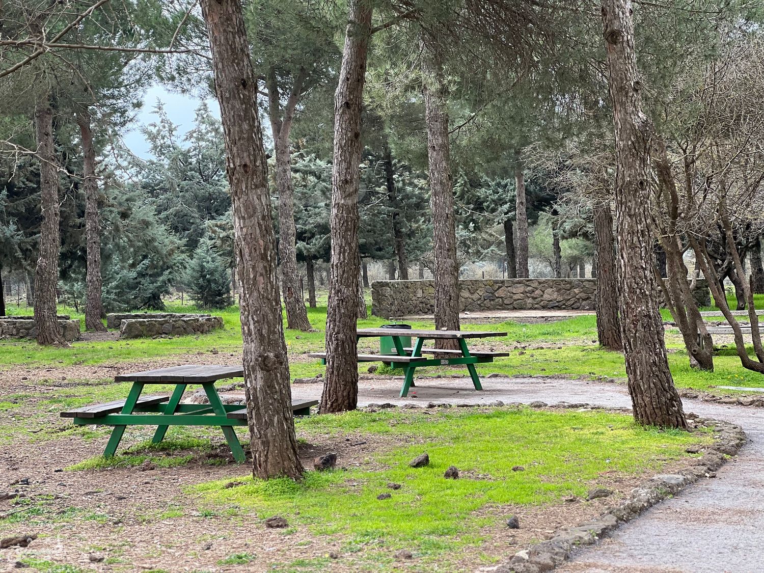 صورة احراش بالقرب من بقعاثا