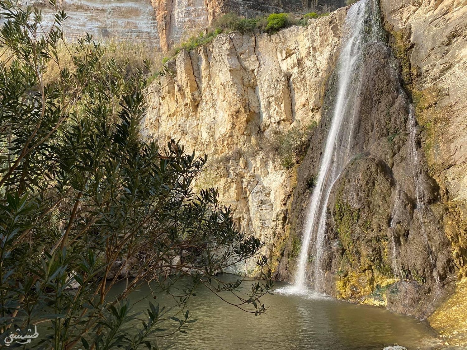 صورة مسار وادي السمك (الدفيلة)