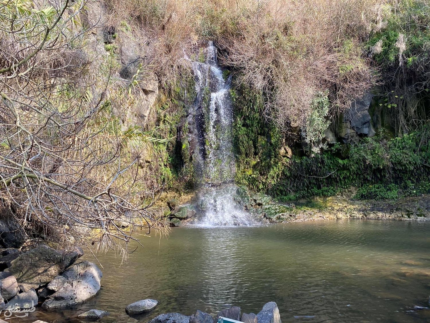 صورة مسار وادي السمك (الدفيلة) 1
