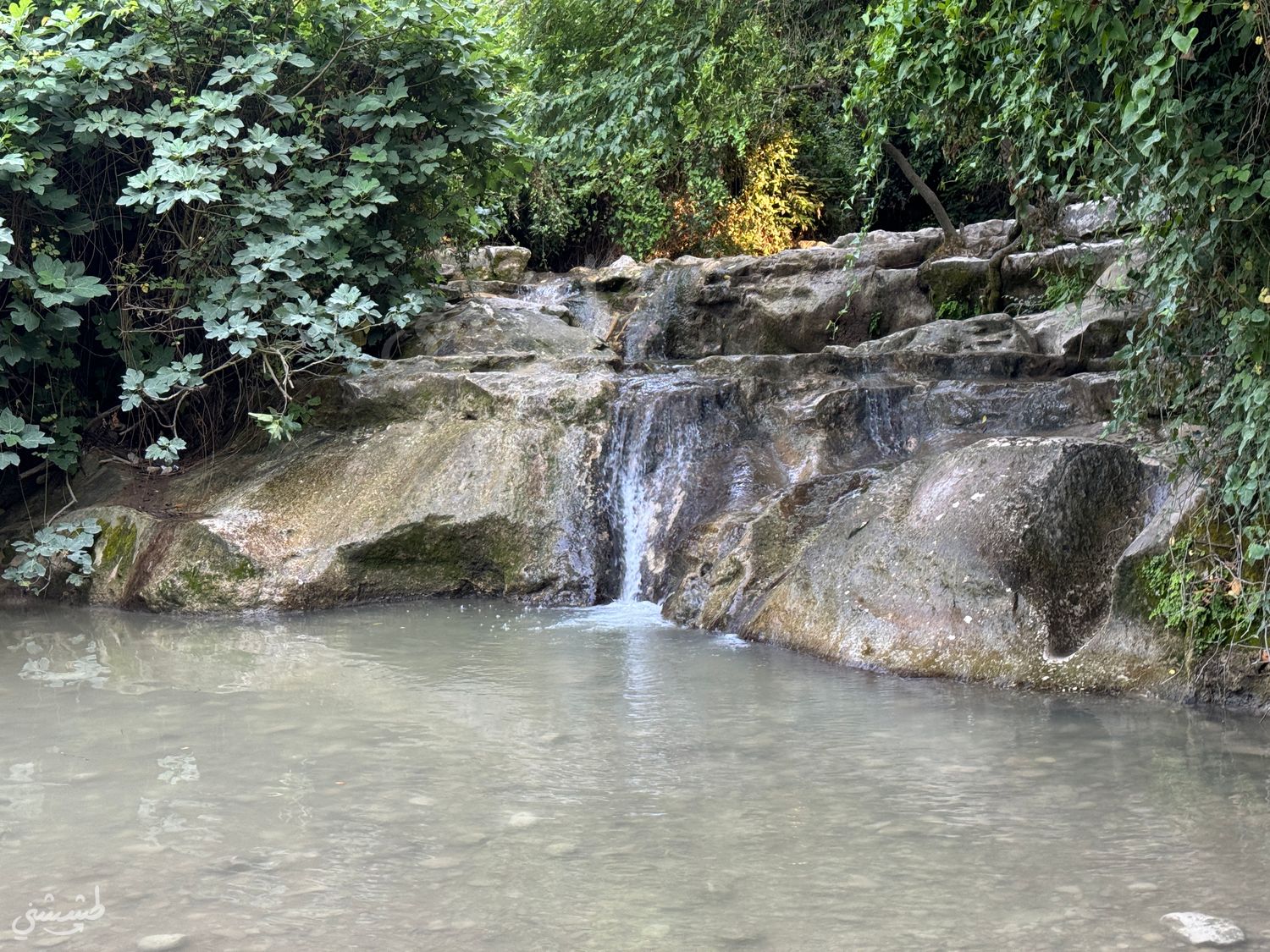 صورة مسار وادي الفرير