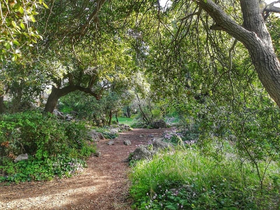 صورة خربة السعدية 1