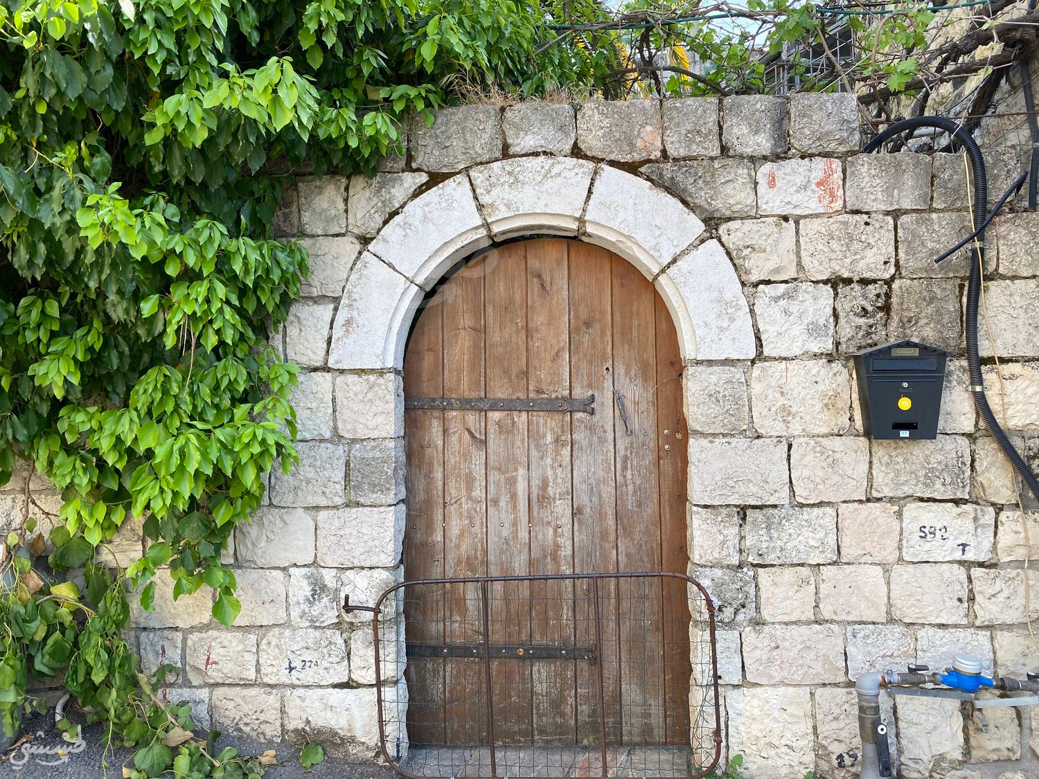 صورة عين كارم