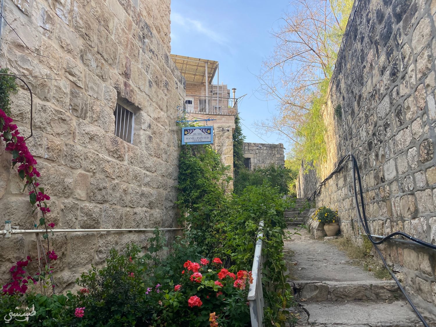 صورة عين كارم 2