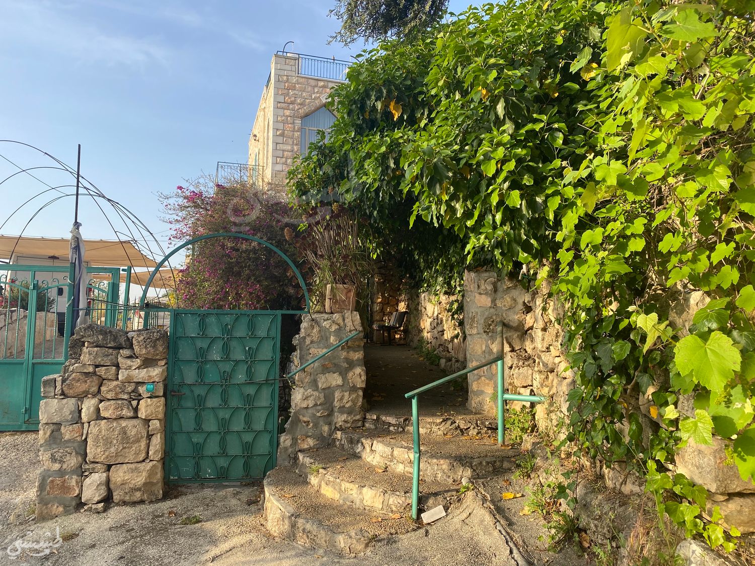 صورة عين كارم 3
