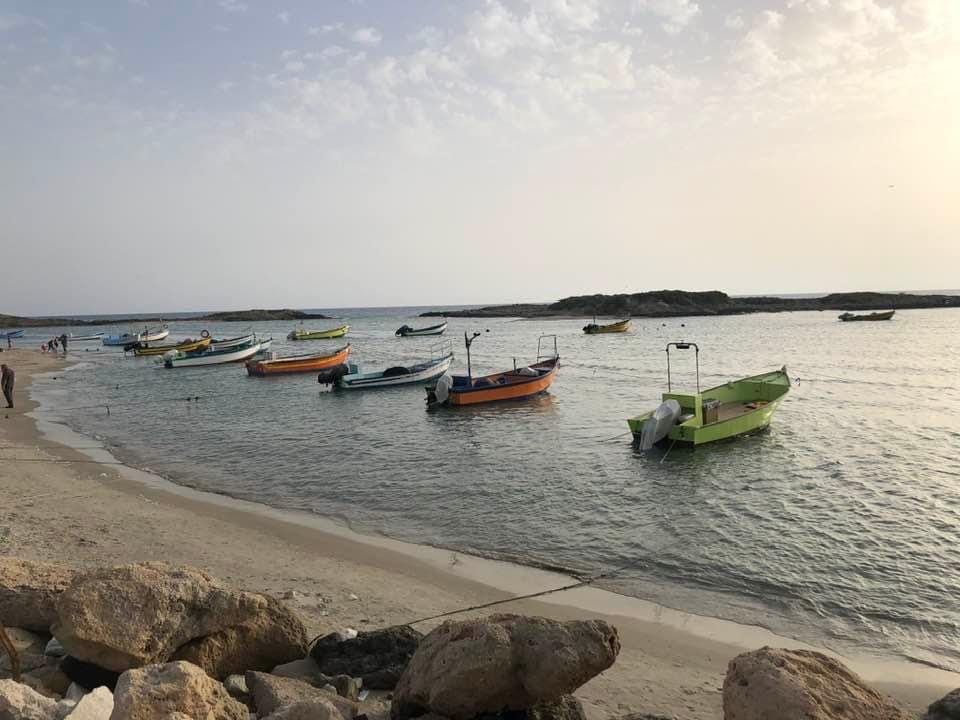صورة شاطئ "دور" - الطنطورة 1