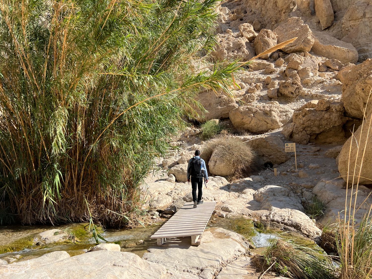 صورة مسار وادي السدر 2