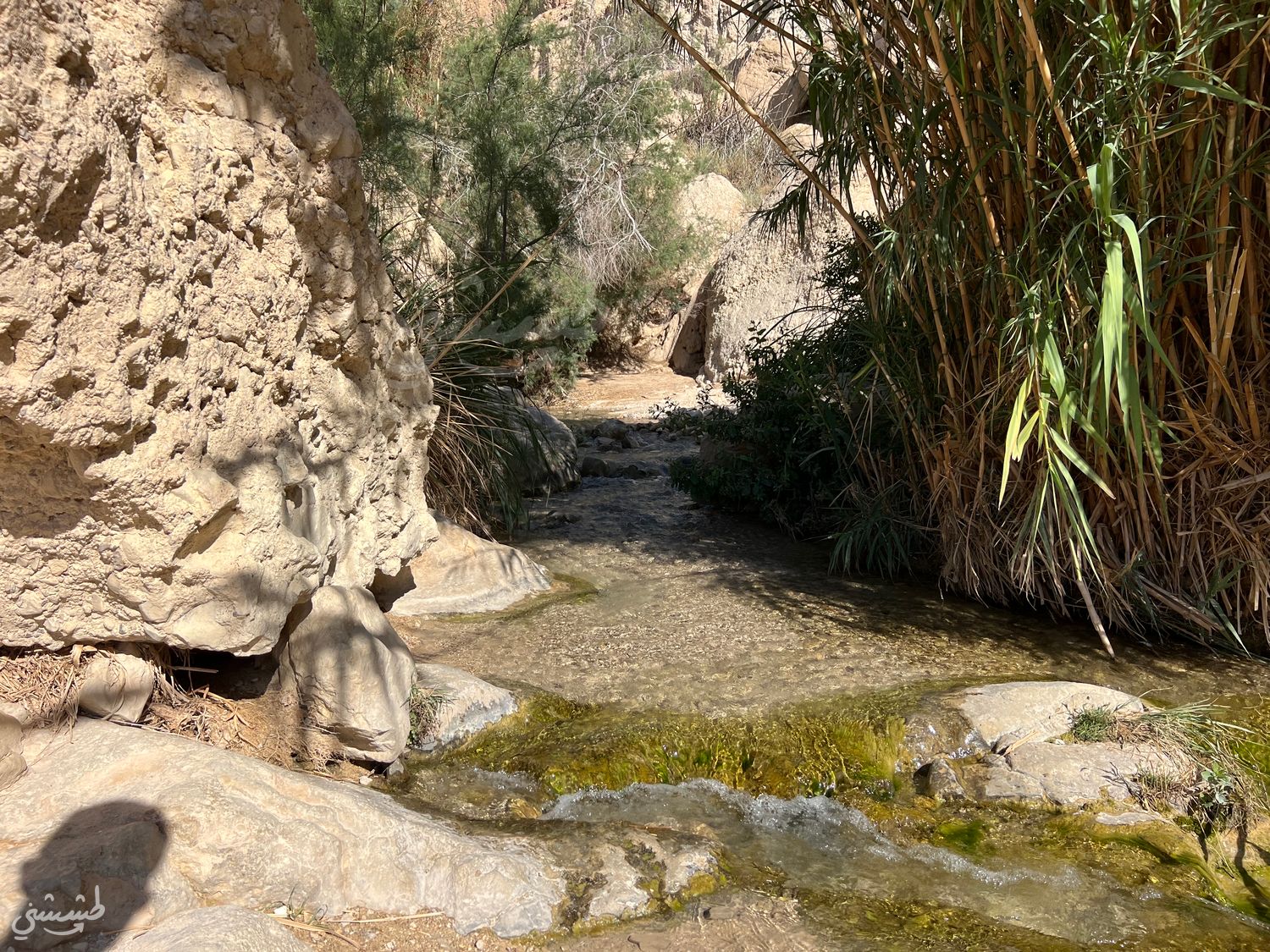 صورة مسار وادي السدر 3
