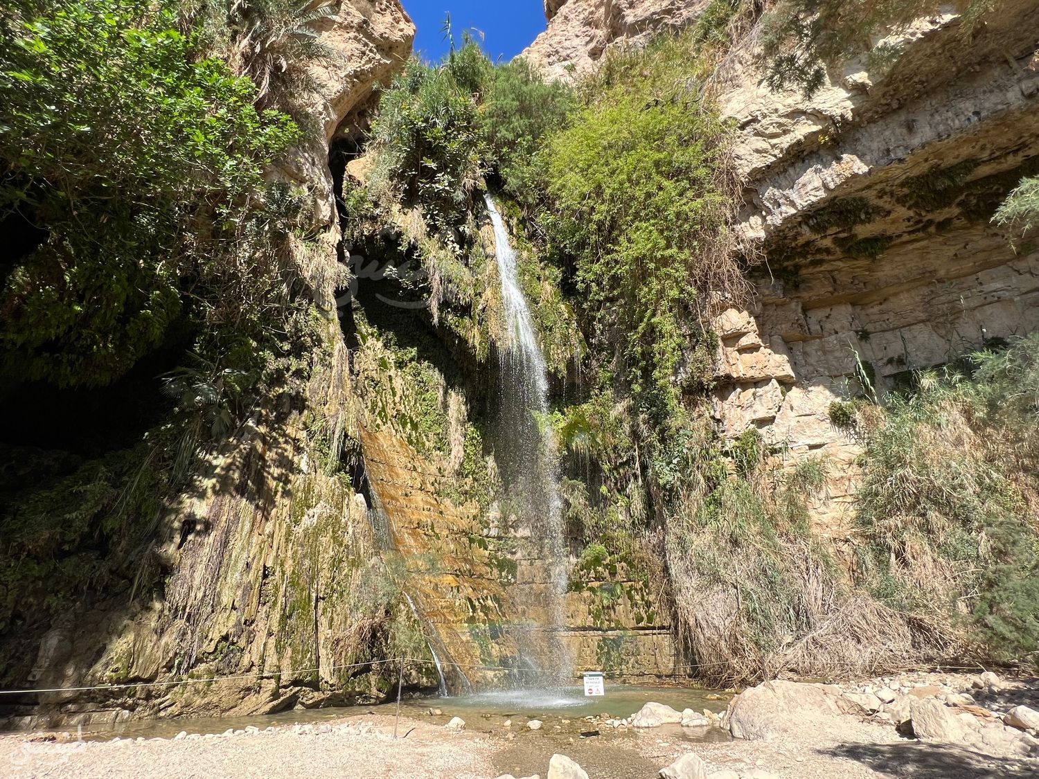 صورة مسار وادي السدر