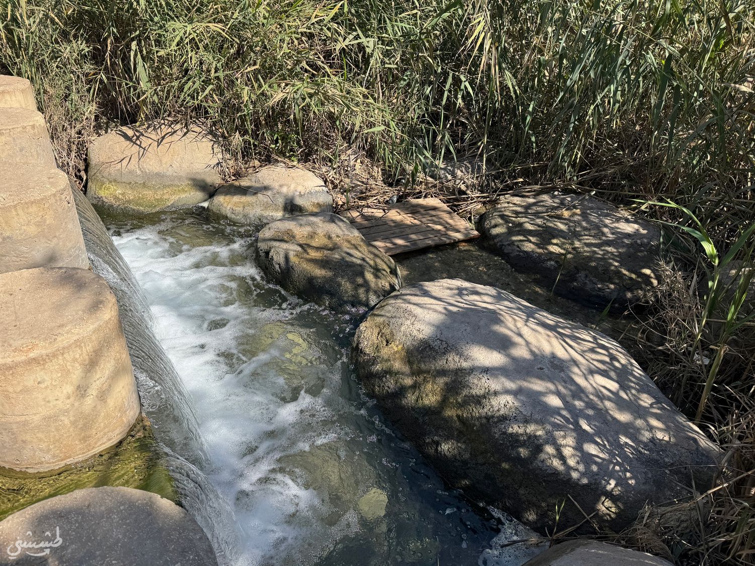 صورة عين جدعونة 1