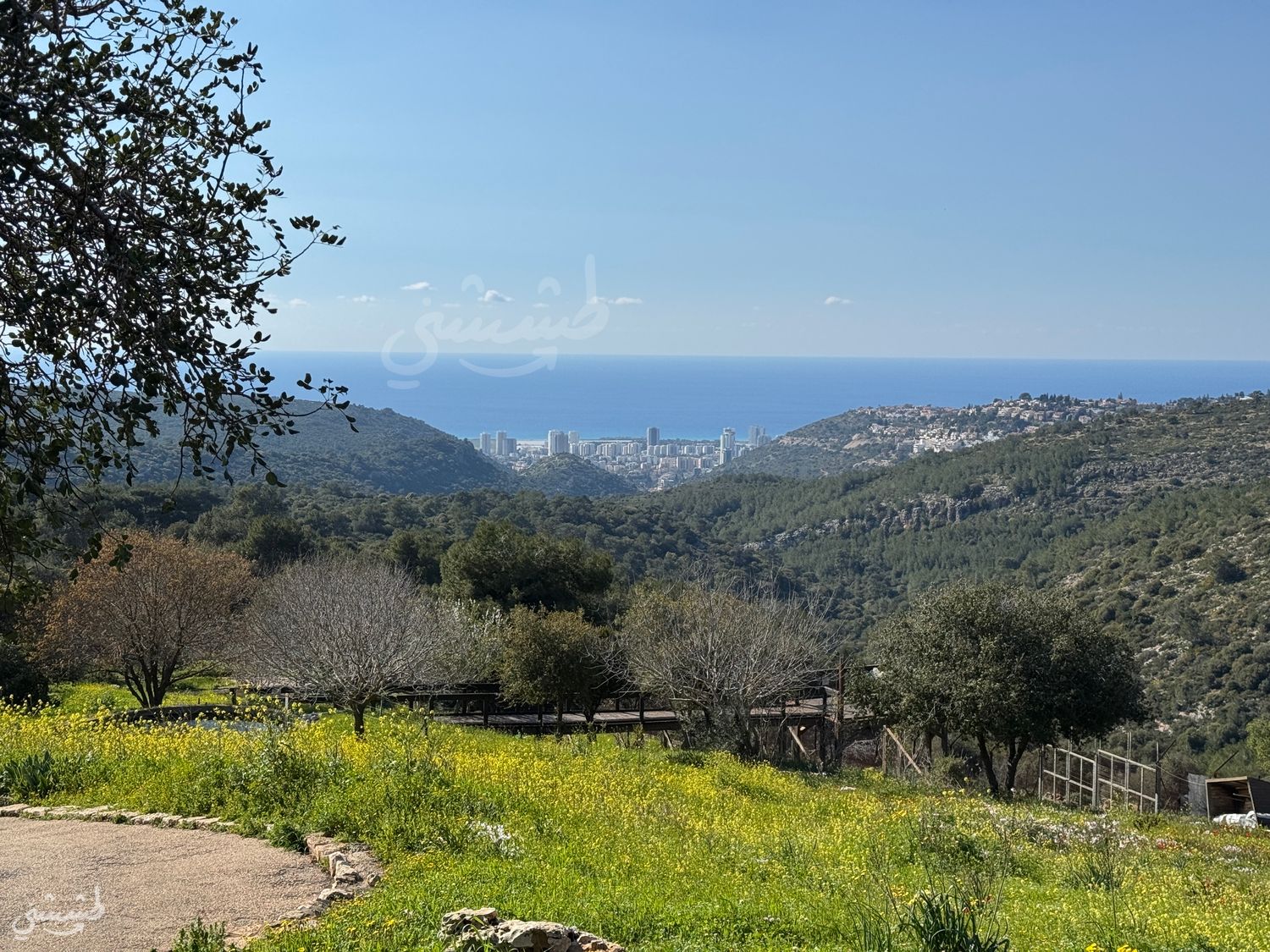 صورة محمية "حاي بار" في الكرمل 2