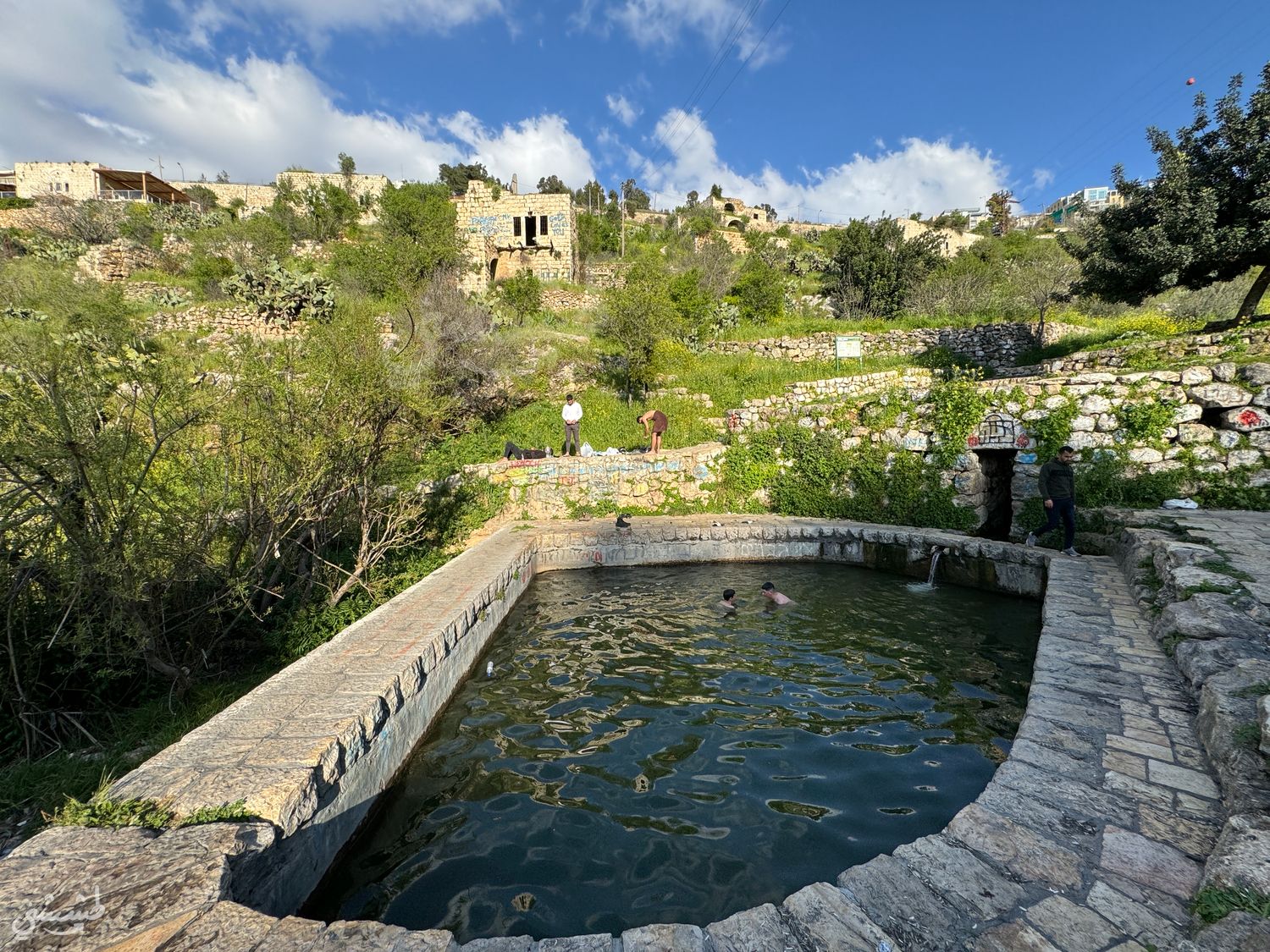 صورة قرية لفتا المهجرة 3
