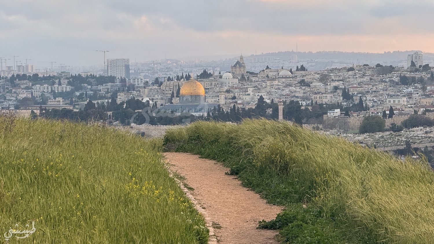 صورة مطل متنزه الصوانة