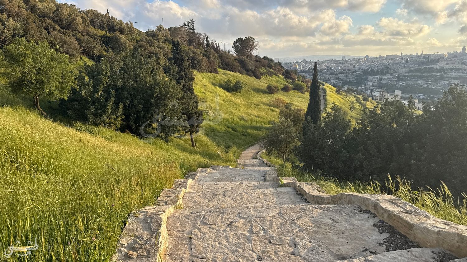 صورة مطل متنزه الصوانة 2