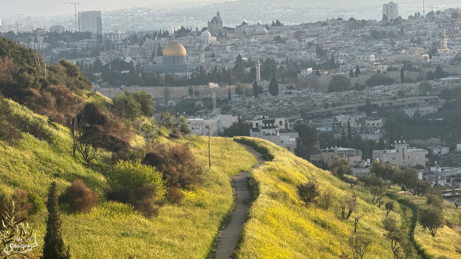 صورة مطل متنزه الصوانة 1