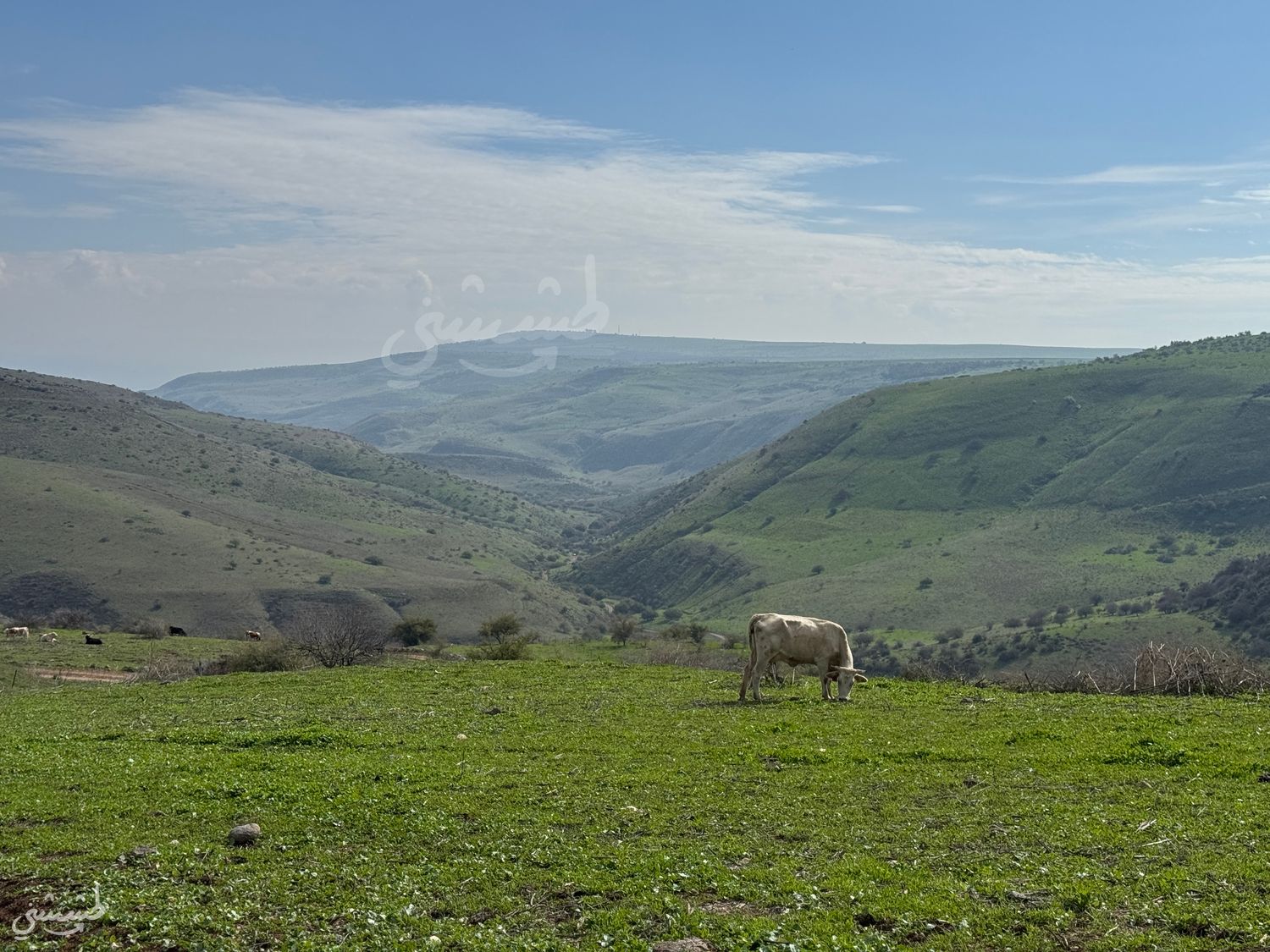 صورة مسار وادي البيرة