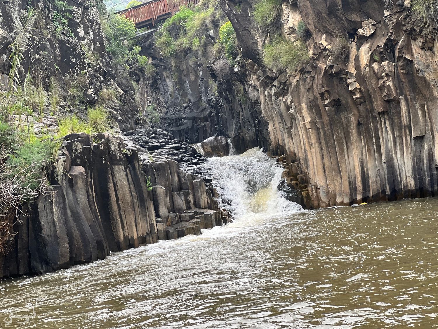 صورة بركة المسدسات 1