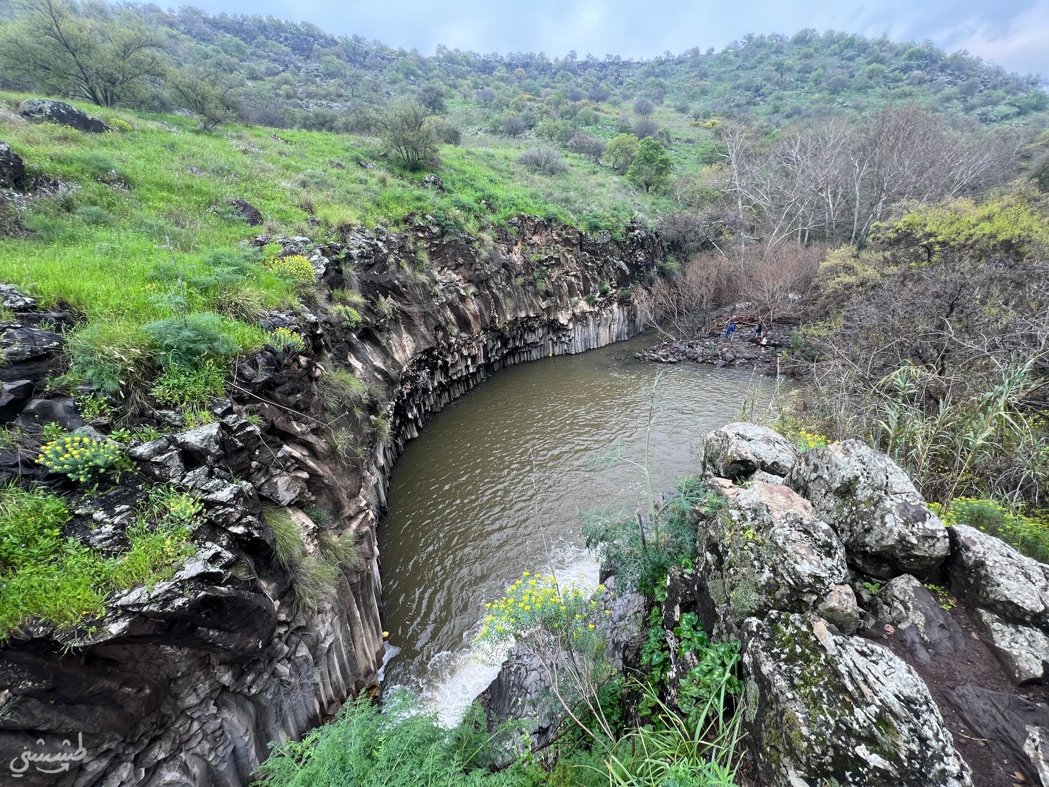 صورة بركة المسدسات 3