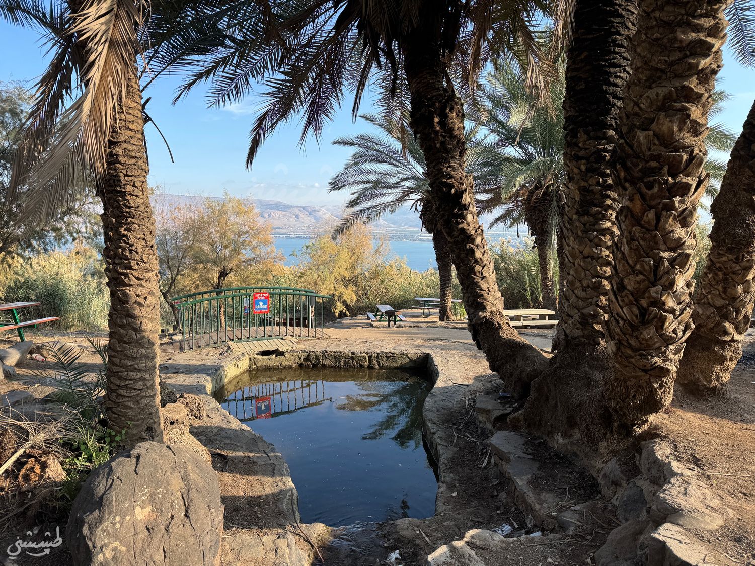 صورة عين المالحة