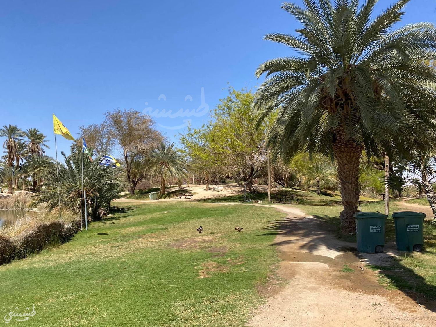 صورة متنزه سابير في العربا 2