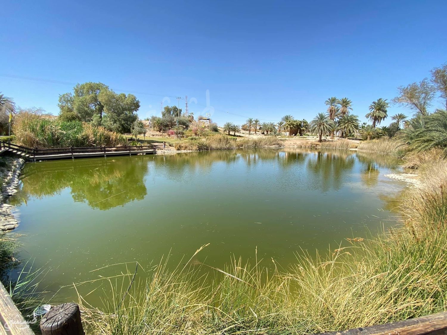 صورة متنزه سابير في العربا