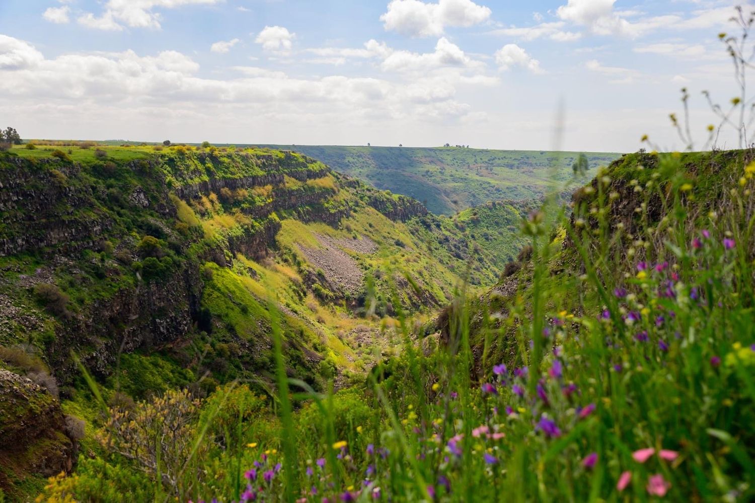 صورة المحمية الطبيعية جملا 3