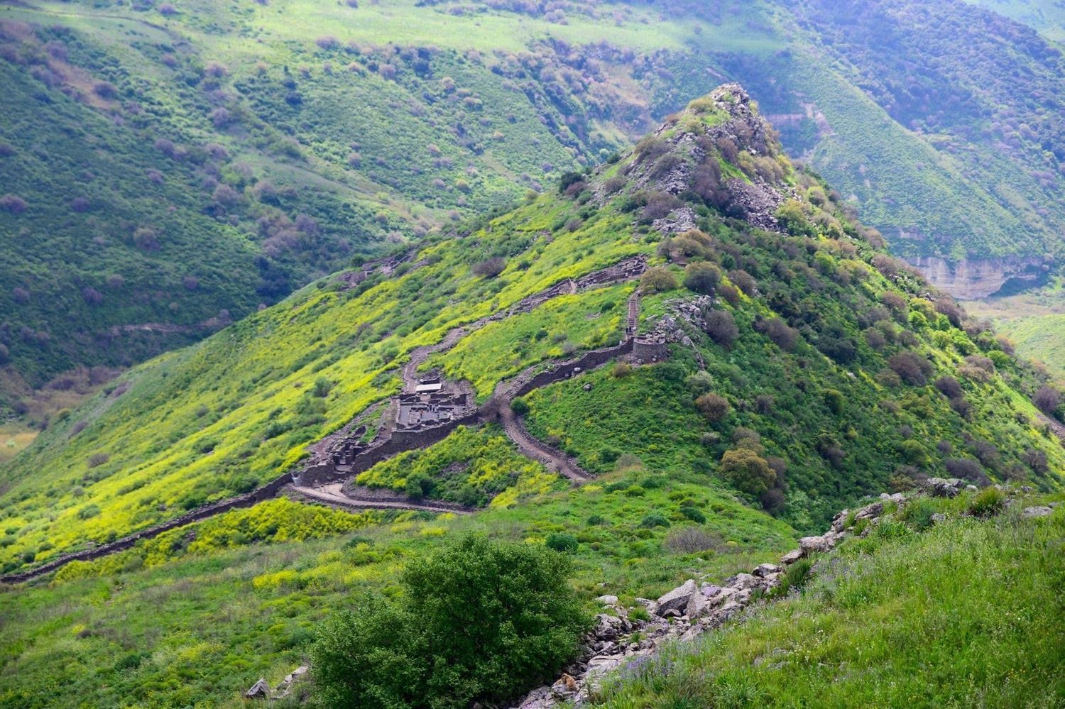صورة المحمية الطبيعية جملا 1