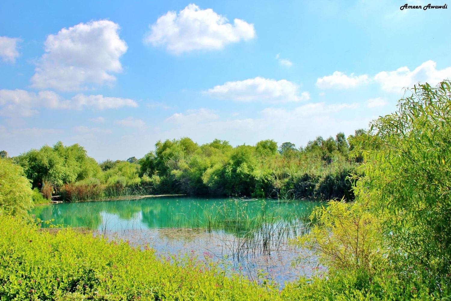 صورة محمية عين الكردانة 3