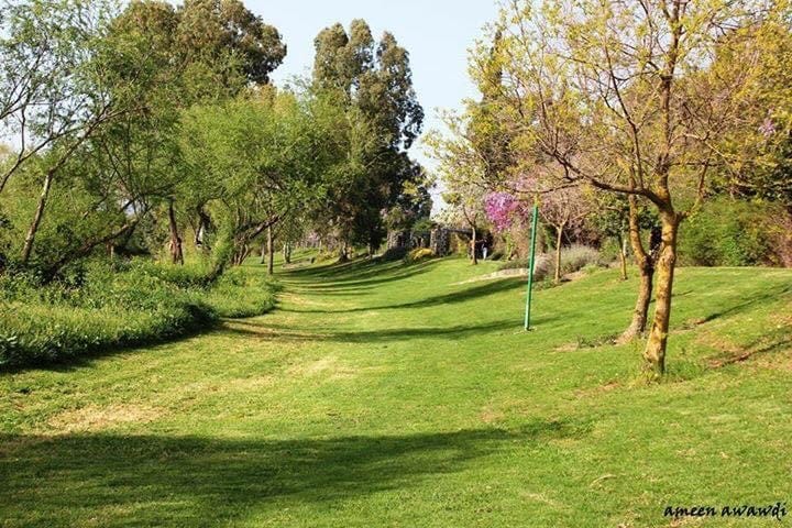 صورة ممشى نهر الاردن  3