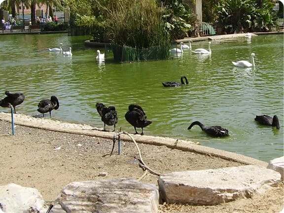 صورة حديقة الحيوانات حاي بارك 3