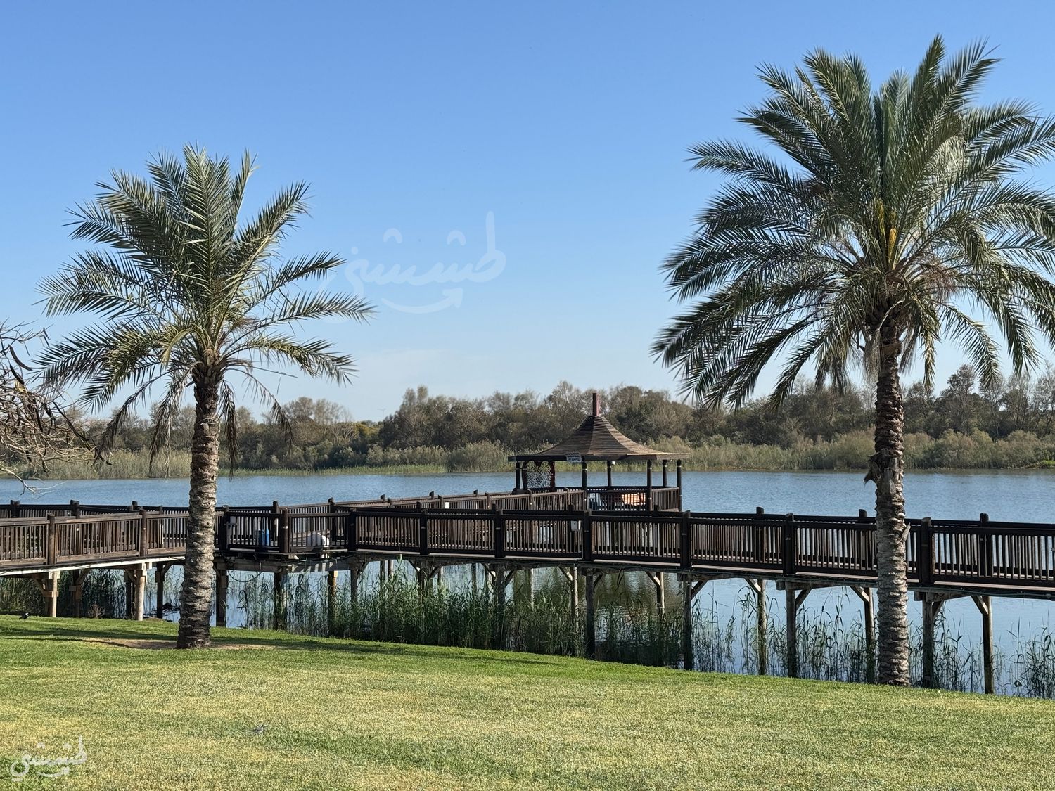 صورة متنزه البحيرة في ريشون لتسيون 2