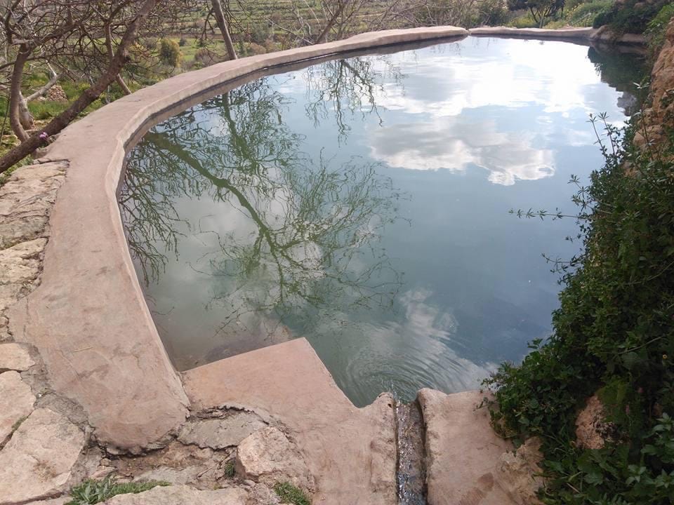 صورة عين العليك  2