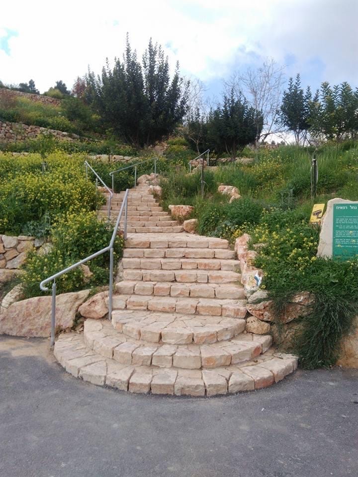 صورة عين العليك  3