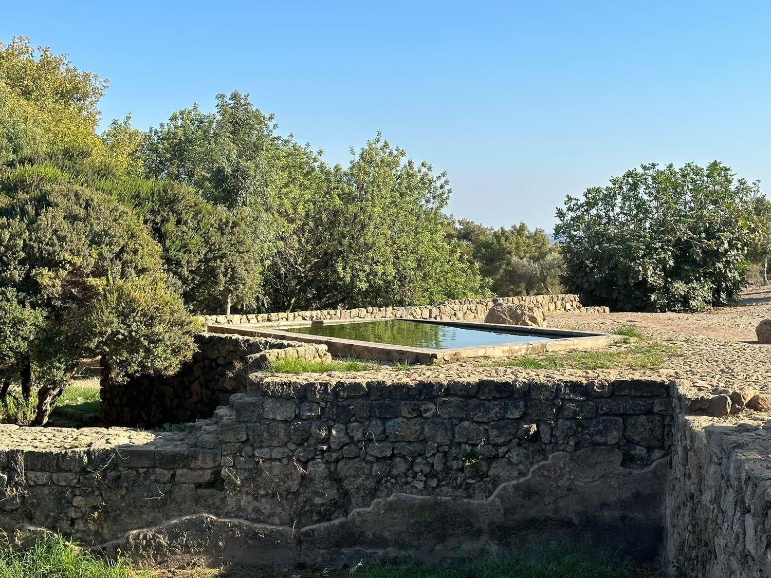 صورة عين صور وقرية ام العلق المهجرة 3