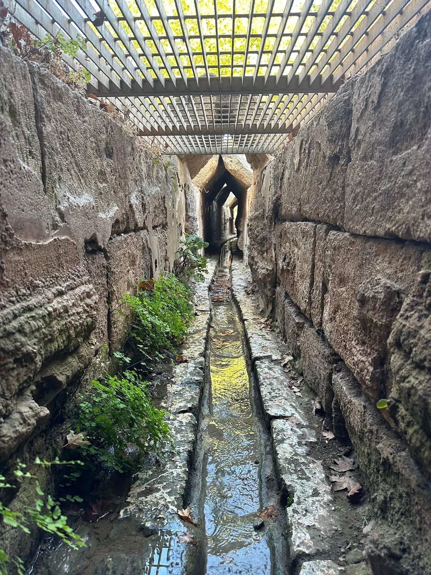 صورة عين صور وقرية ام العلق المهجرة