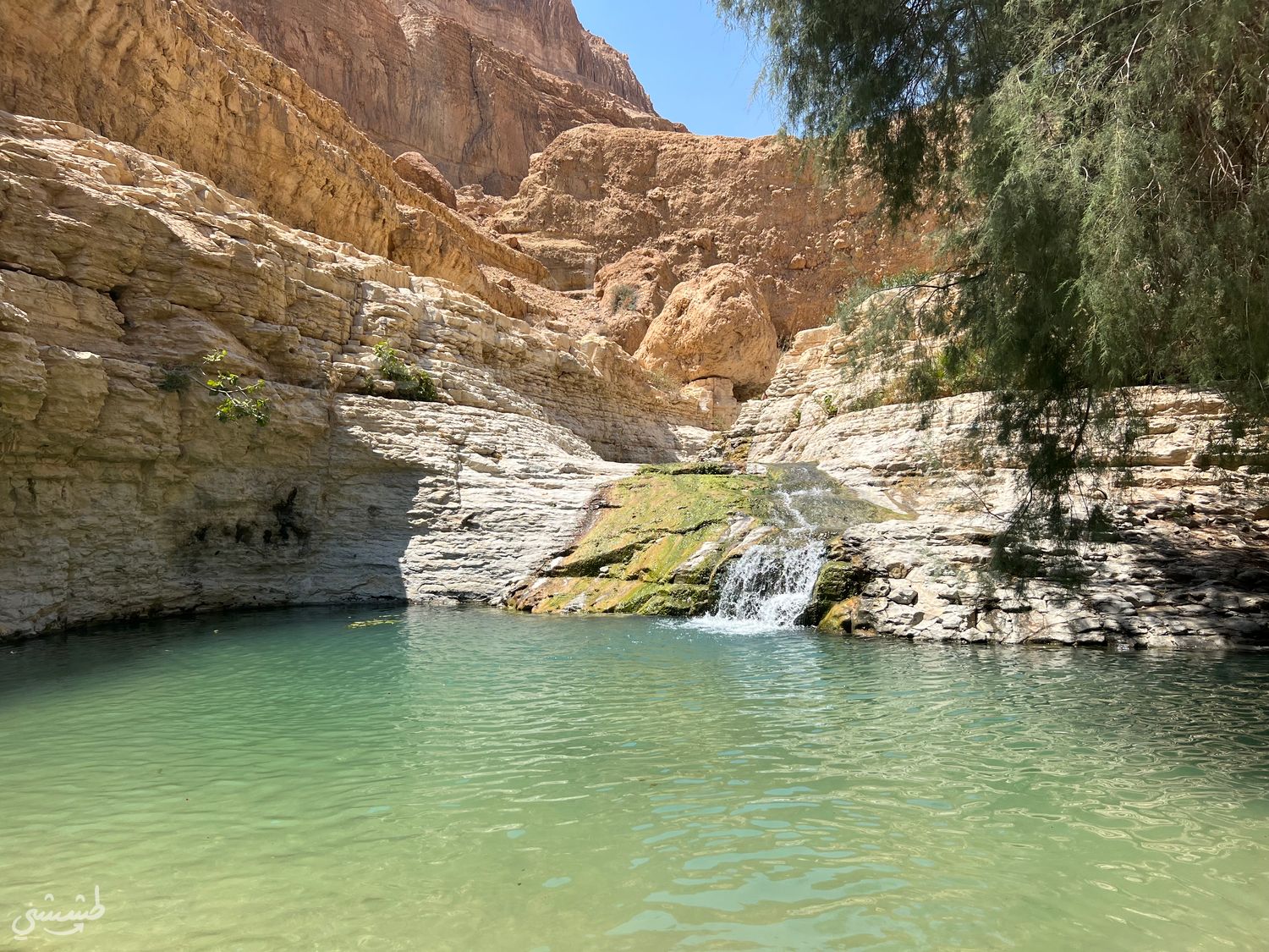 صورة مسار وادي العريجة
