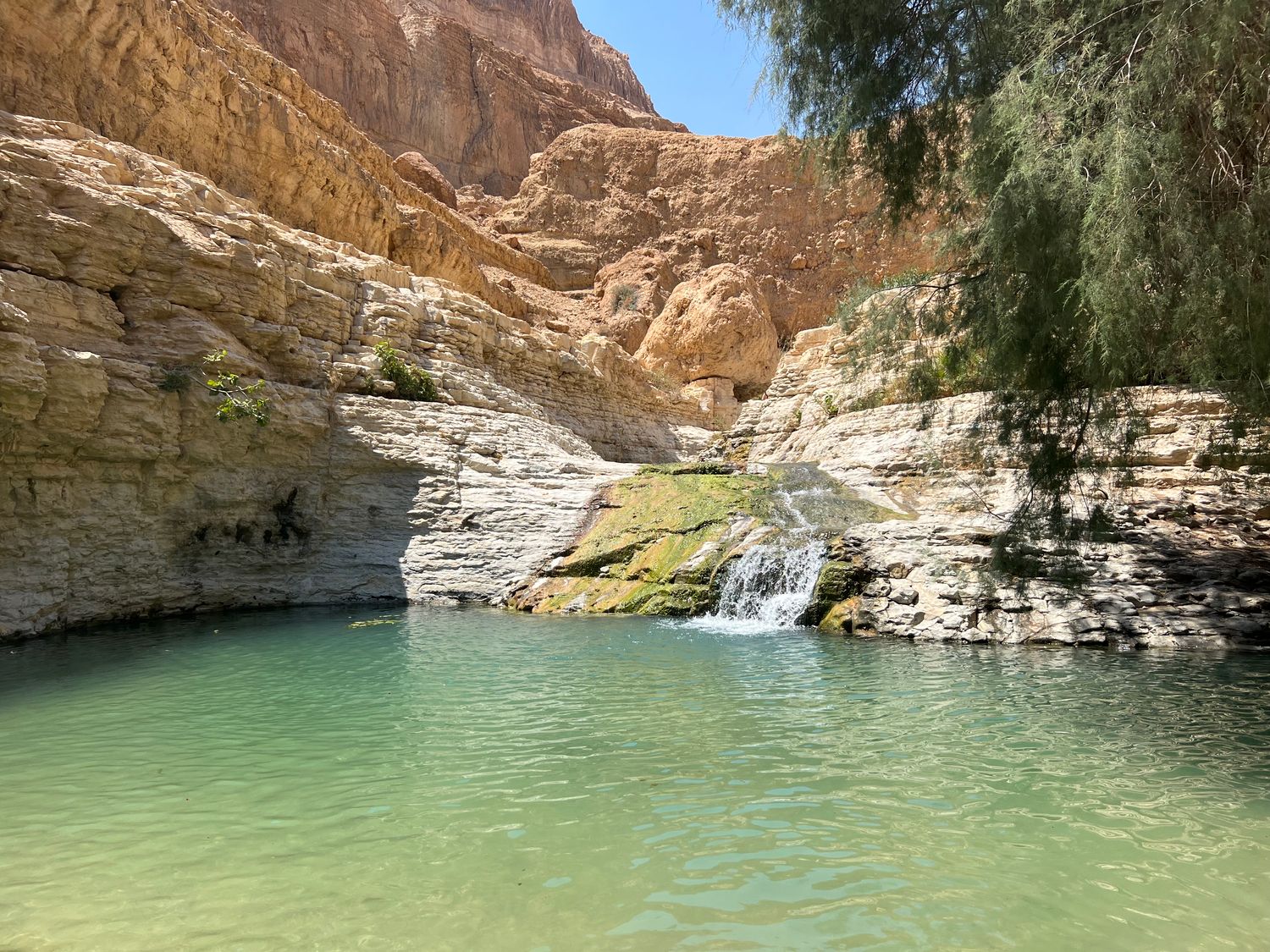 صورة مسار وادي العريجة