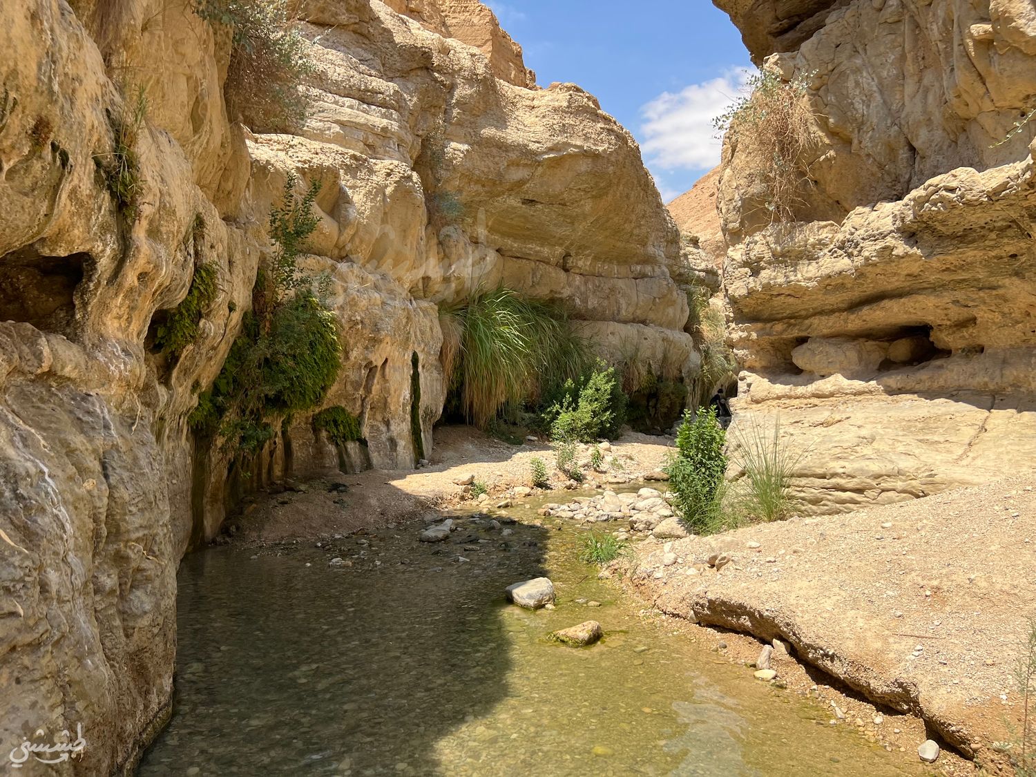 صورة مسار وادي العريجة 3