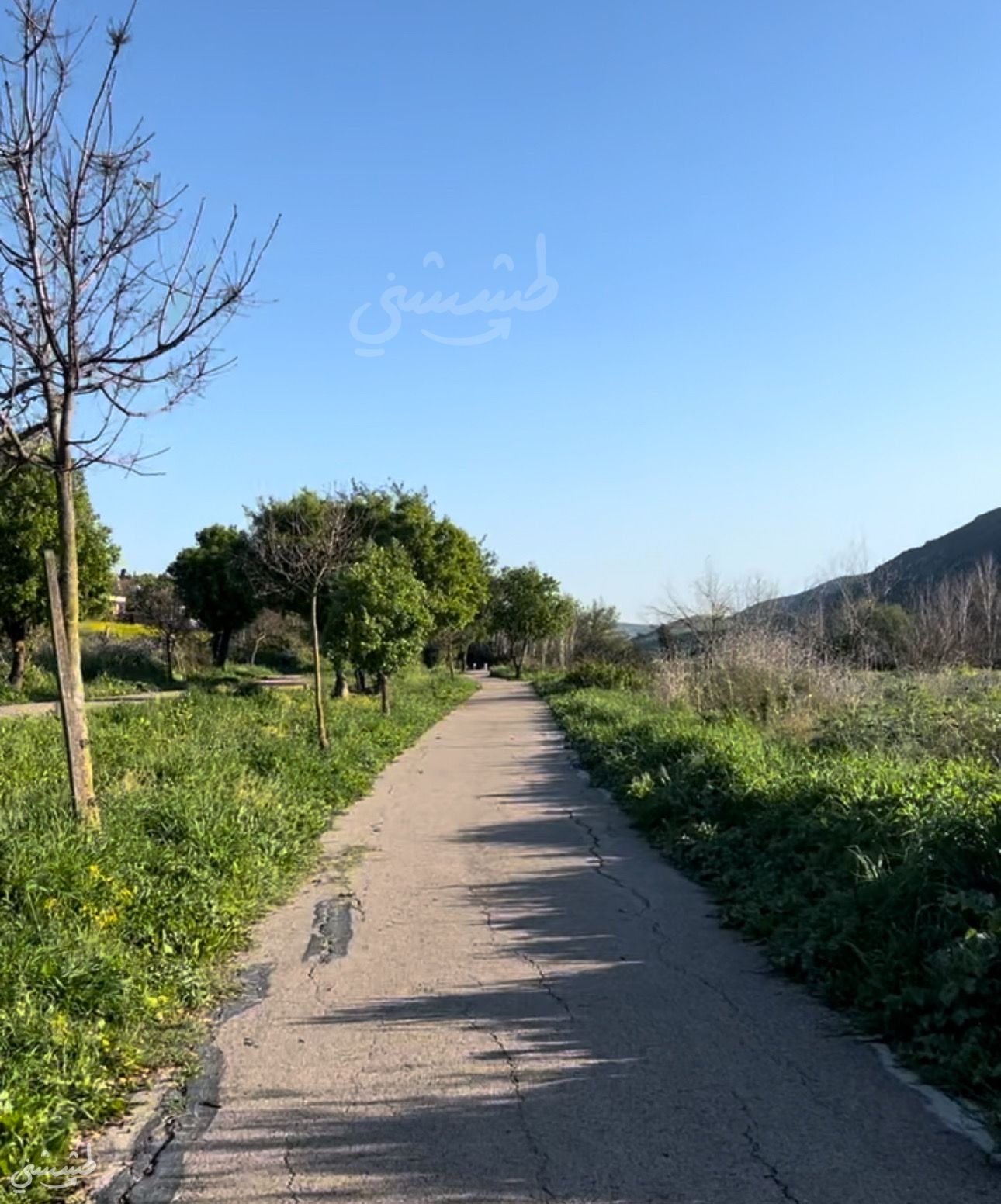 صورة متنزه عين الري 3