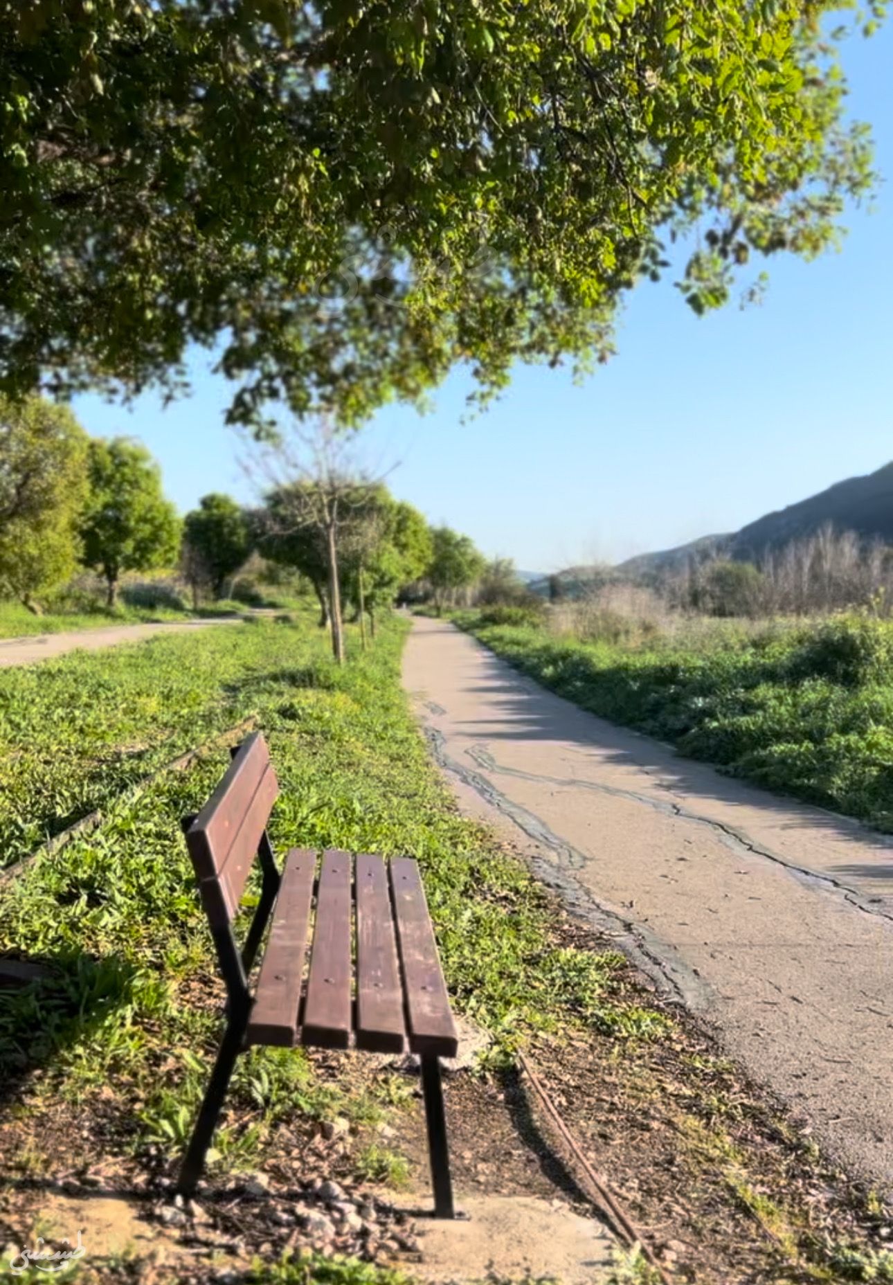 صورة متنزه عين الري 1