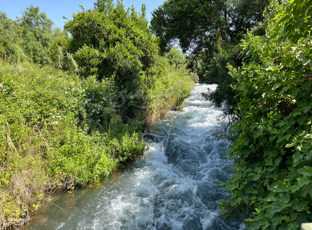 صورة محمية تل القاضي (دان)