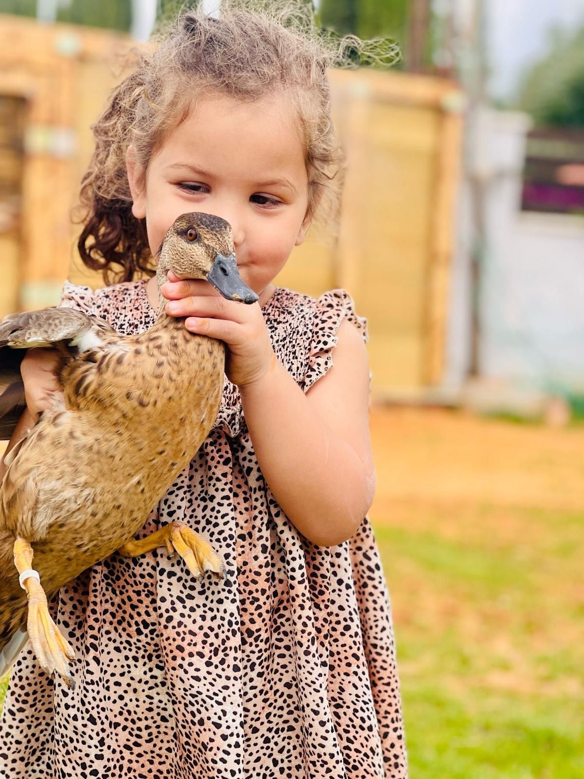صورة حديقة الياسمين في الطيبة 2